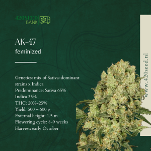 AK-47 THC FEM.SEEDS-420SEED.NL