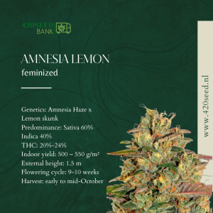 AMNESIA LEMON THC FEM.SEEDS-420SEED.NL